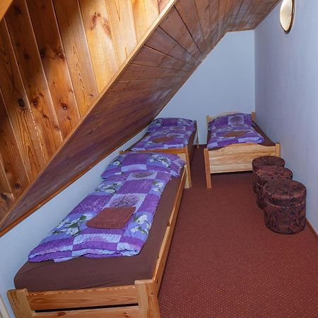 Penzion Harry Na Sjezdovce Krkonose Vysoke nad Jizerou Exterior photo