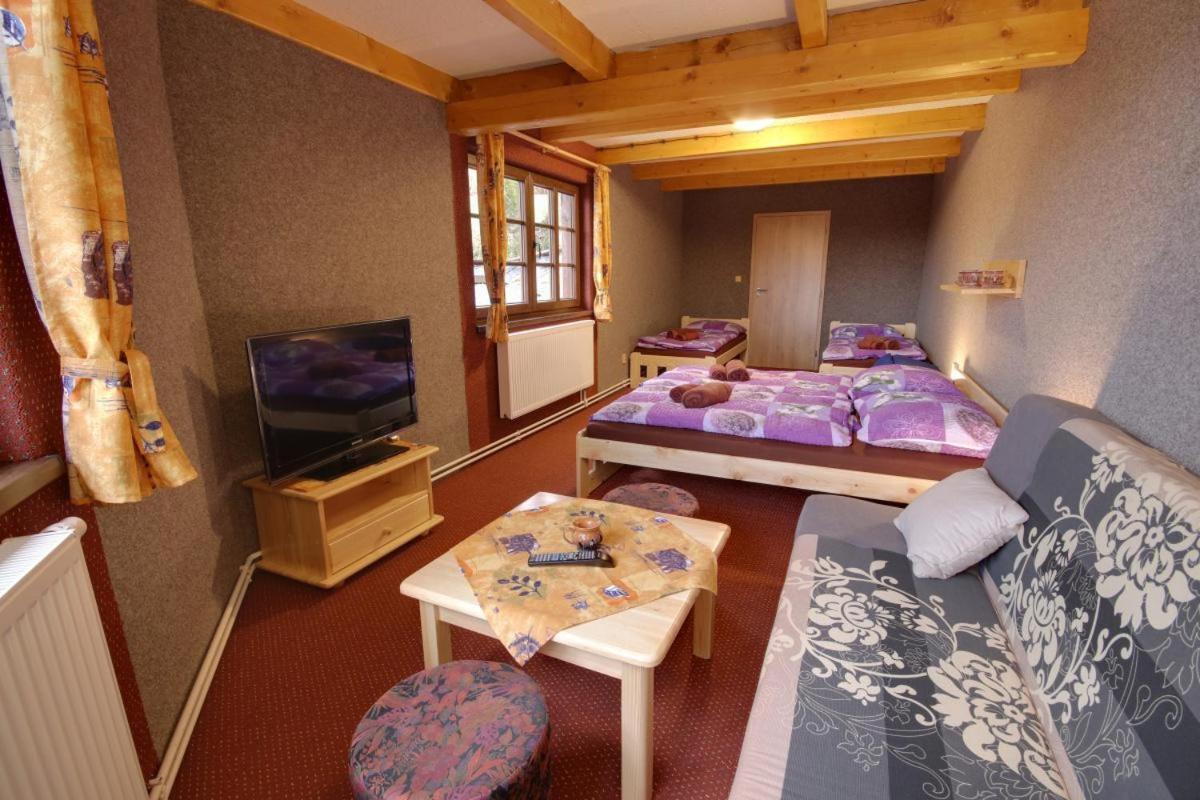 Penzion Harry Na Sjezdovce Krkonose Vysoke nad Jizerou Exterior photo